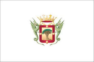 Bandera Oficial de la Villa de La Orotava.JPG