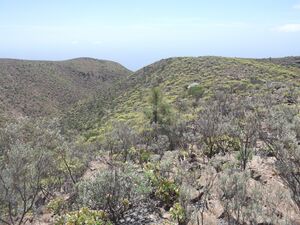 Meseta del Amurga.jpg