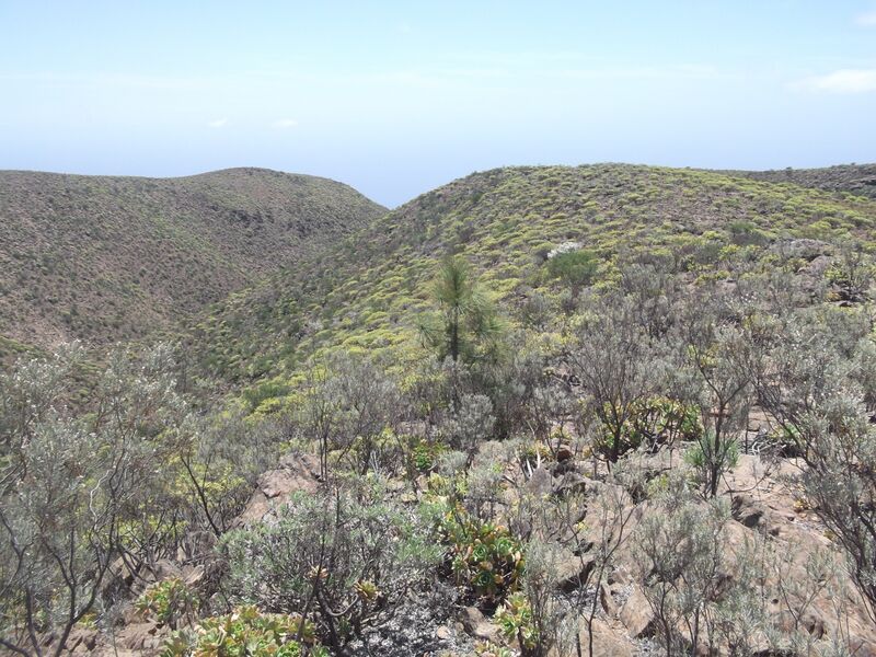 Archivo:Meseta del Amurga.jpg