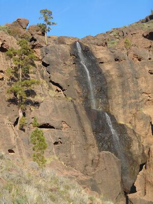 Ojeda - El principal ingrediente de la vida.JPG