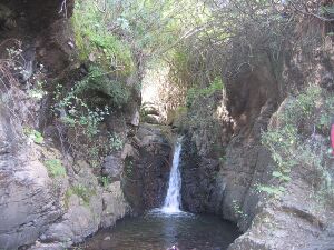 Barranco los cernicalos ( telde ) - panoramio.jpg