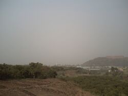 Lascandias calima3.JPG