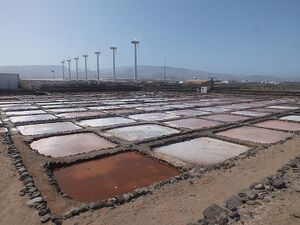 Salinas de Tenefé 3.JPG