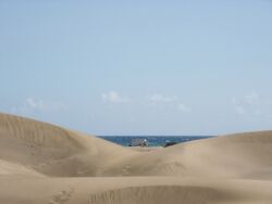 Düne1.jpg