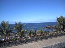 PICT0009.JPG