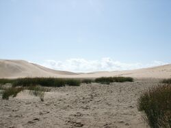 Maspalomas Gran Canaria2.jpg