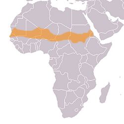 Map sahel.jpg