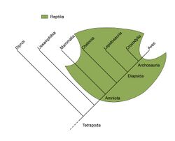 Traditional Reptilia.jpg