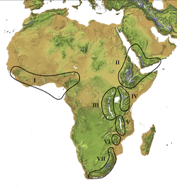 Afromontane Zones (transparent).png