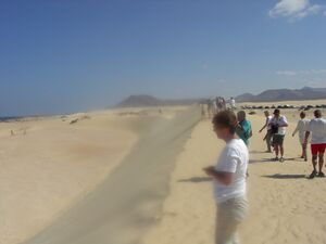 Fuerteventura duene.jpg