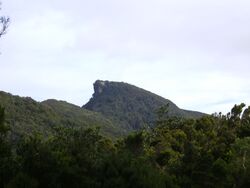 Chinobre (Anaga).JPG