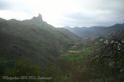 Tejeda3.jpg