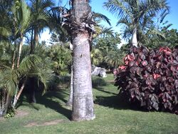 PICT0051.JPG