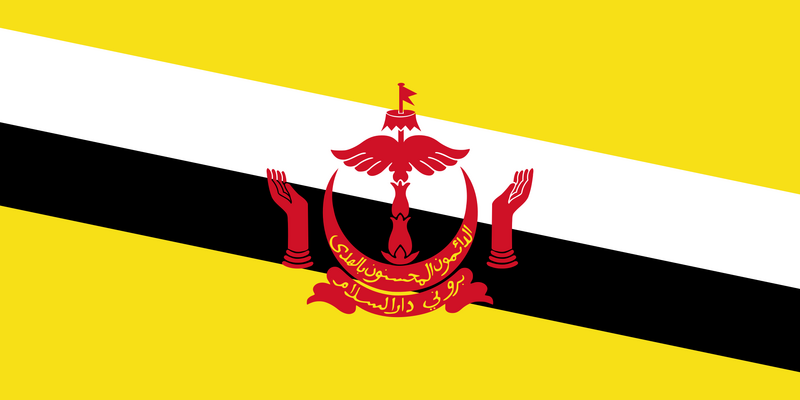 Archivo:Flag of Brunei.png