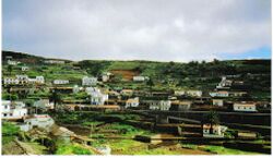 ElCercado2.jpg