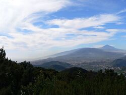 Teide desde el mirador.jpg