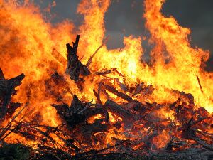 Midsummer bonfire closeup.jpg