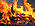 Midsummer bonfire closeup.jpg