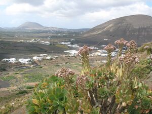 Montaña Blanca (San Bartolomé, Lanzarote).jpg