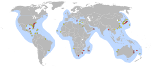 Lieux pontes tortue caouanne.png