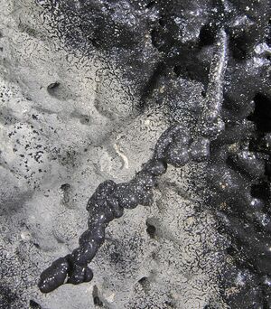 Tubular lava helictite.jpg