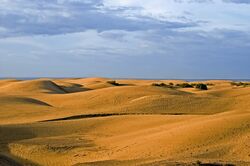 Maspalomas Duenen 1.jpg