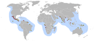 Lieux pontes tortue olivatre.png