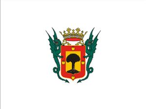 Bandera de La Orotava.jpg