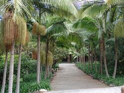 BotanischerGartenDerHerzoginVonArucas.jpg
