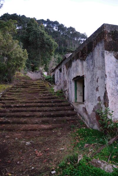 Archivo:Solis - Fuset.JPG