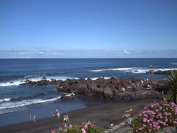 PICT0037.JPG