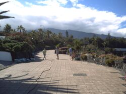 PICT0031.JPG