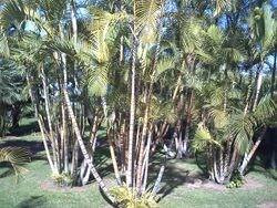 PICT0050.JPG