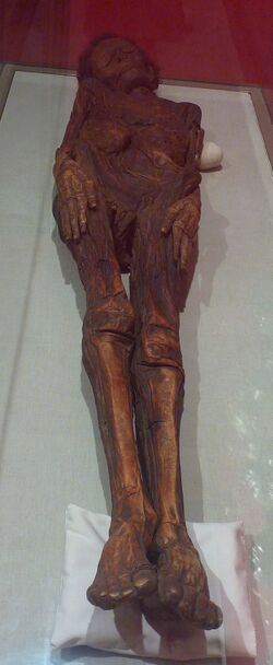 Momia guanche MNA (2).JPG