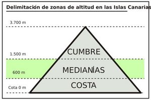 Canarias grafico de altitud-medianias.JPG