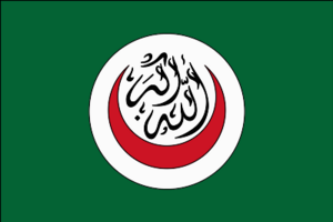 Flag of the Organization of Islamic Cooperation (1981–2011).svg