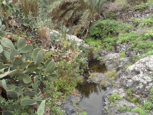 Parte del Barranco del Río que cruza el Batán.JPG