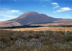 Malpaís de La Corona (Lanzarote)