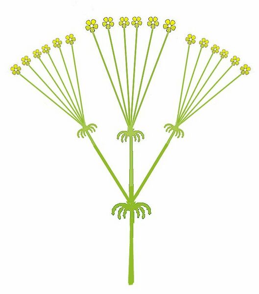 Archivo:Samengesteld scherm.jpg