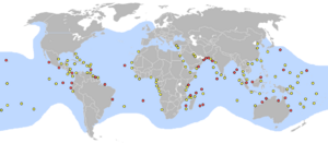 Lieux pontes tortue verte.png