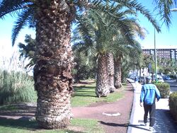 PICT0053.JPG