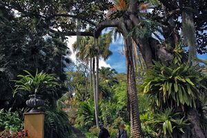 Botanico - 140311.jpg