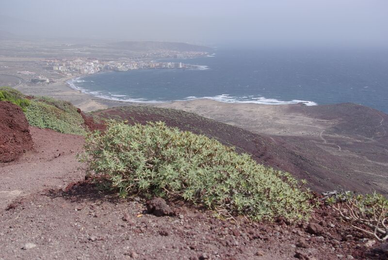 Archivo:El Médano BW 1.JPG