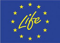 Logolife.jpg